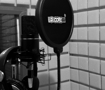 Lion audio records